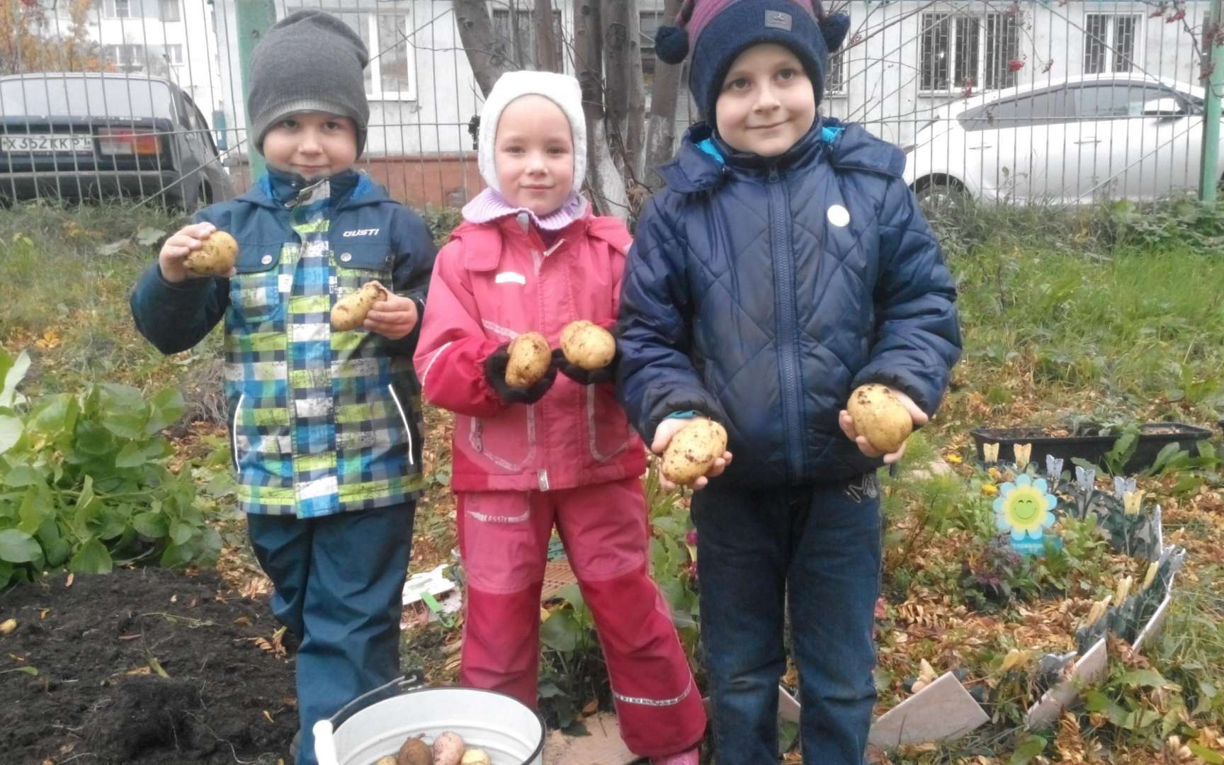 Мурманск сады. Детский сад 79 Мурманск. Детский сад Мурманск Октябрьский район. Детский сад 38 Мурманск. Садик 27 Мурманск.